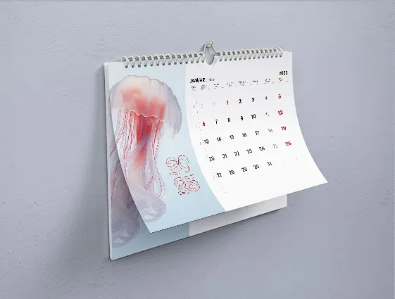 Wandkalender Online-Druck 2